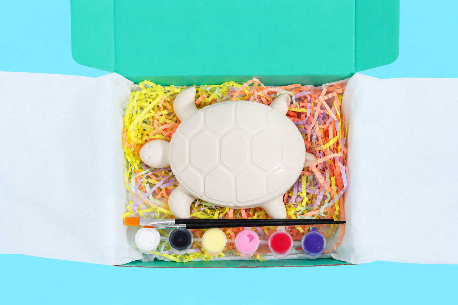 Turtle Trinket Box