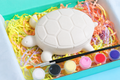 Turtle Trinket Box
